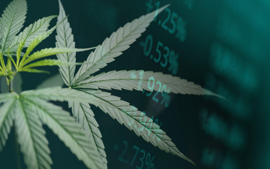 The CBD Market Just Hit $20 Billion. So Why Is Finding Good CBD Still So Hard?