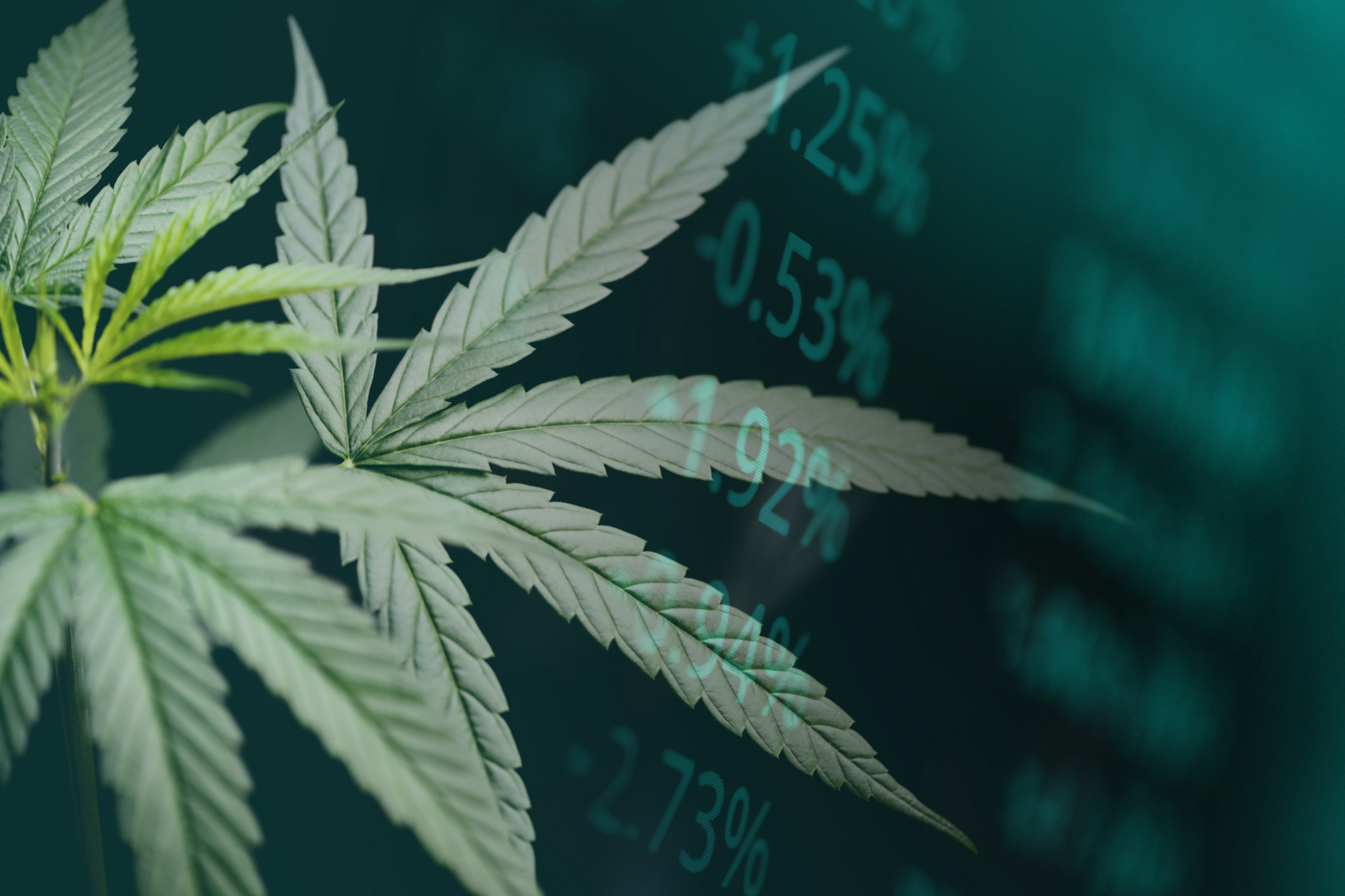 The CBD Market Just Hit $20 Billion. So Why Is Finding Good CBD Still So Hard?