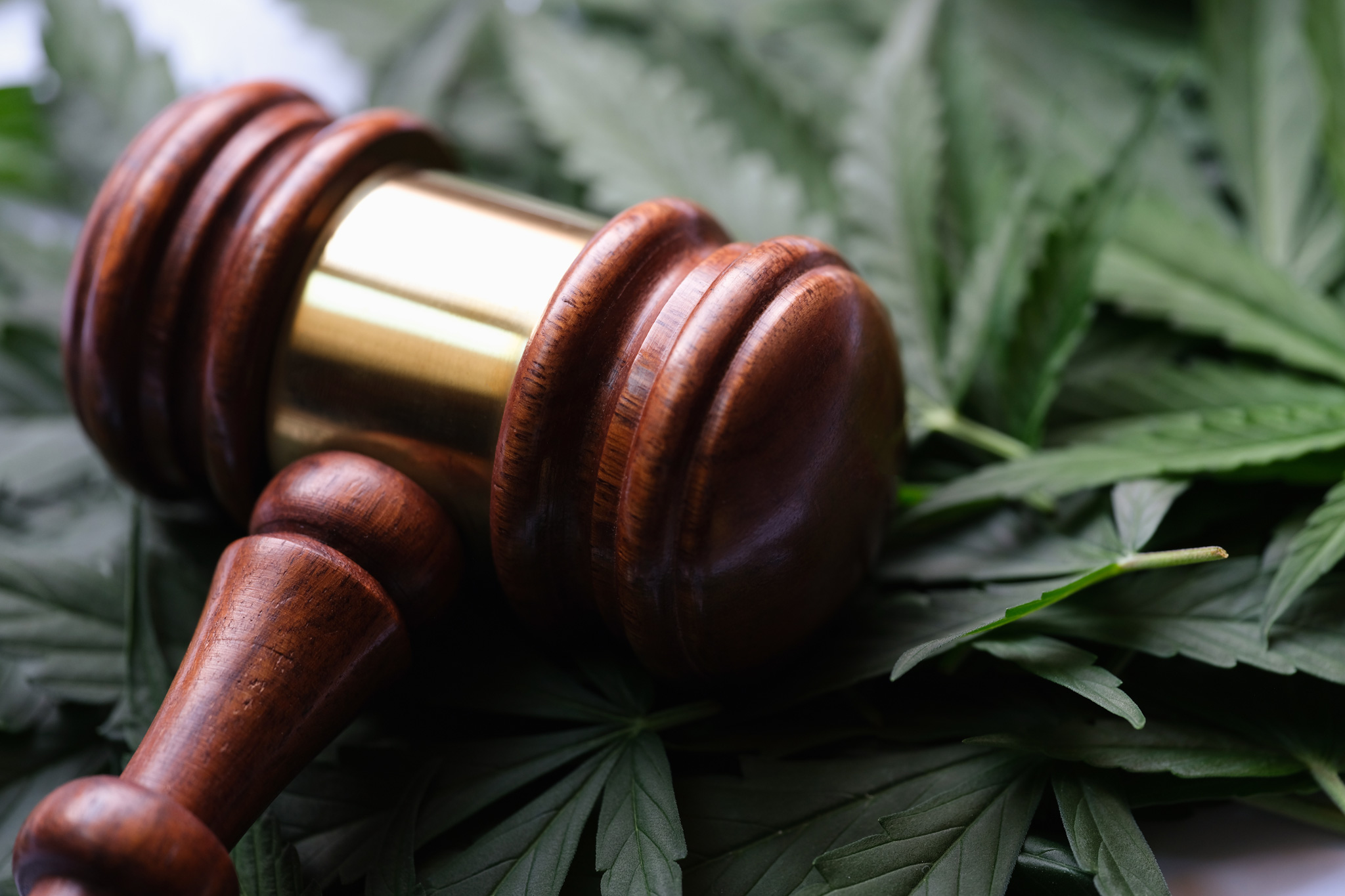 The 2026 Hemp Law Change Nobody’s Talking About (But Everyone Should Know)